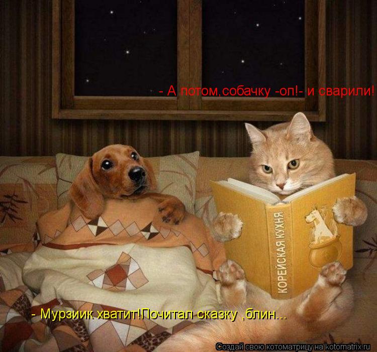 Котоматрица: - А потом,собачку -оп!- и сварили! - Мурзиик хватит!Почитал сказку ,блин...