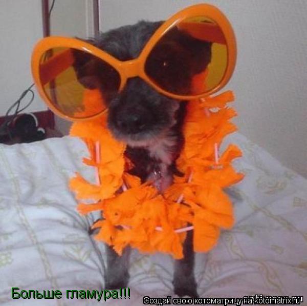 Больше гламура!!!... Котоматрица: Больше гламура!!!