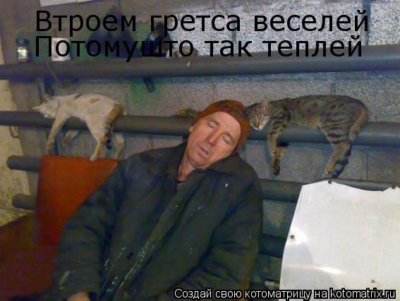 Втроем гретса веселей Потомушто так теплей... Котоматрица: Втроем гретса веселей Потомушто так теплей