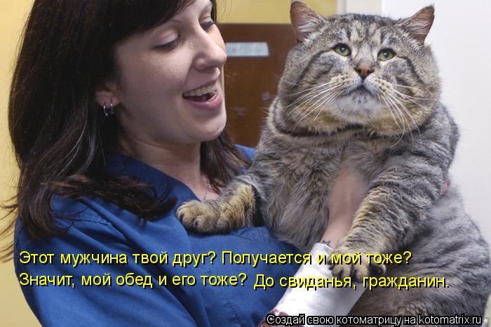 Этот мужчина твой друг? Получается и мой тоже? Значит, мой обед и его тоже? До свиданья, гражданин... Котоматрица: Этот мужчина твой друг? Получается и мой тоже? Значит, мой обед и его тоже? До свиданья, гражданин.