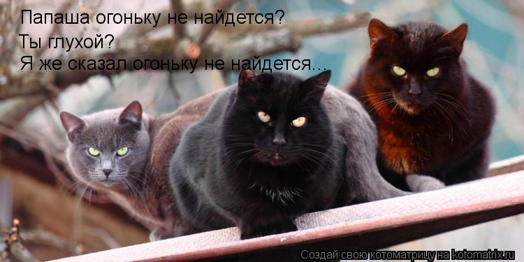 Папаша огоньку не найдется? Ты глухой? Я же сказал огоньку не найдется...... Котоматрица: Папаша огоньку не найдется? Ты глухой? Я же сказал огоньку не найдется...