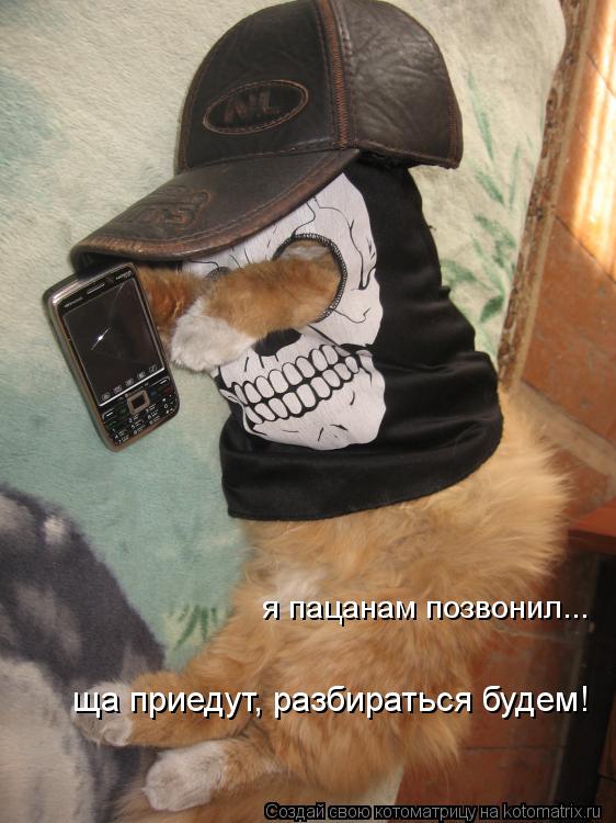 я пацанам позвонил... ща приедут, разбираться будем!... Котоматрица: я пацанам позвонил... ща приедут, разбираться будем!