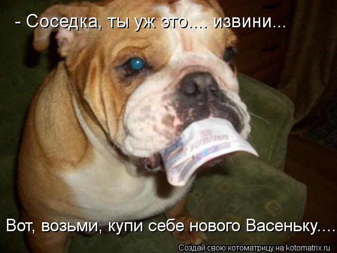 Котоматрица: - Соседка, ты уж это.... извини... Вот, возьми, купи себе нового Васеньку....