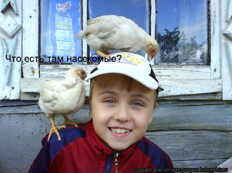 Что,есть там насекомые?... Котоматрица: Что,есть там насекомые?