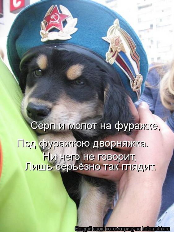 Серп и молот на фуражке, Под фуражкою дворняжка. Ни чего не говорит, Лишь серьёзно так глядит.... Котоматрица: Серп и молот на фуражке, Под фуражкою дворняжка. Ни чего не говорит, Лишь серьёзно так глядит.