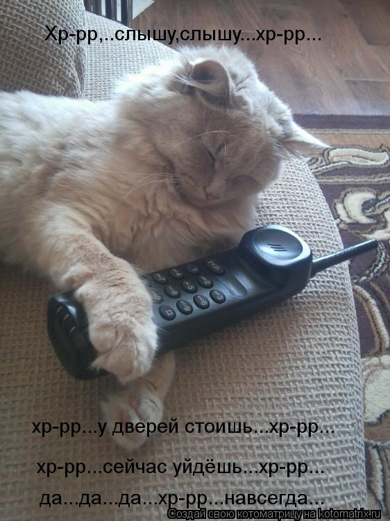 Хр-рр,..слышу,слышу...хр-рр... хр-рр...у дверей стоишь...хр-рр... хр-рр...сейчас уйдёшь...хр-рр... да... Котоматрица: Хр-рр,..слышу,слышу...хр-рр... хр-рр...у дверей стоишь...хр-рр... хр-рр...сейчас уйдёшь...хр-рр... да...да...да...хр-рр...навсегда...