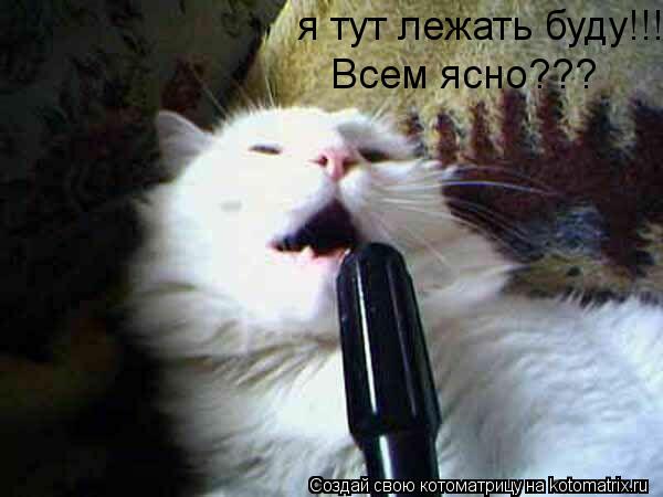 я тут лежать буду!!! Всем ясно???... Котоматрица: я тут лежать буду!!! Всем ясно???