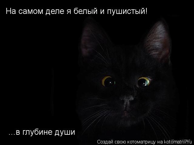 На самом деле я белый и пушистый! ...в глубине души... Котоматрица: На самом деле я белый и пушистый! ...в глубине души