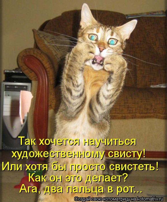 Котоматрица: Так хочется научиться Или хотя бы просто свистеть! Как он это делает? Ага, два пальца в рот... художественному свисту!
