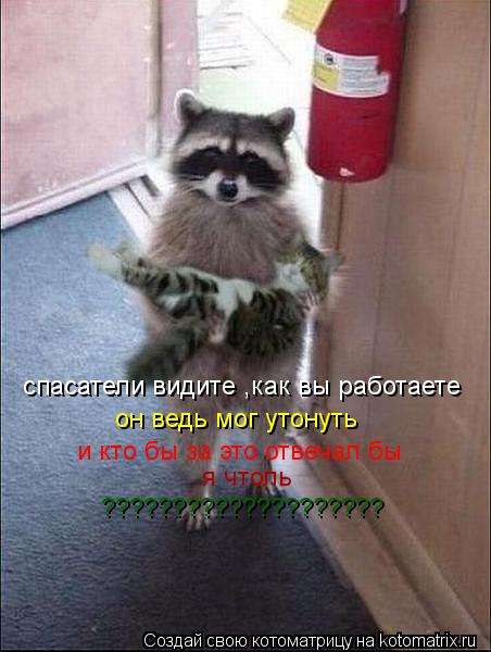Котоматрица: спасатели видите ,как вы работаете он ведь мог утонуть и кто бы за это отвечал бы я чтоль ????????????????????