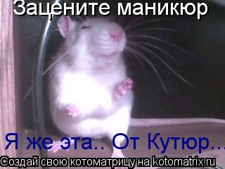 Котоматрица: Зацените маникюр Я же эта.. От Кутюр...