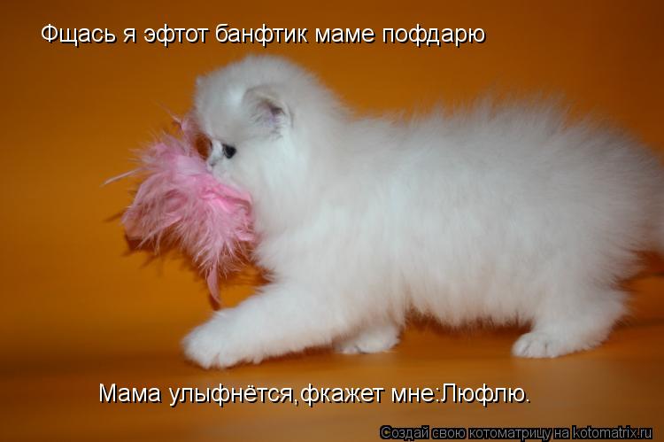 Котоматрица: Фщась я эфтот банфтик маме пофдарю Мама улыфнётся,фкажет мне:Люфлю.