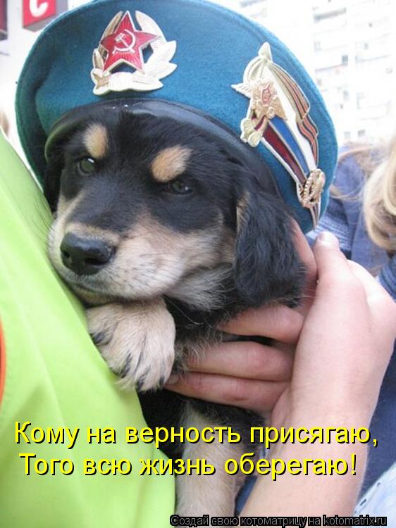 Котоматрица: Кому на верность присягаю, Того всю жизнь оберегаю!