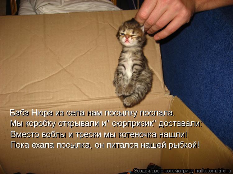 Котоматрица: Баба Нюра из села нам посылку послала. Мы коробку открывали и" сюрпризик" доставали: Вместо воблы и трески мы котеночка нашли! Пока ехала пос