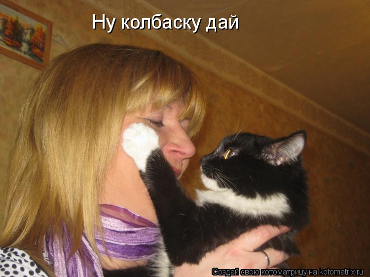 Котоматрица: Ну колбаску дай