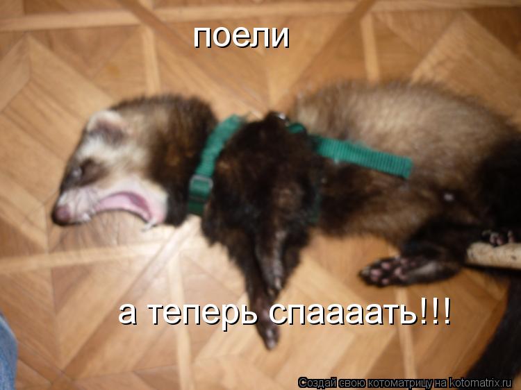 Котоматрица: поели а теперь спаааать!!!