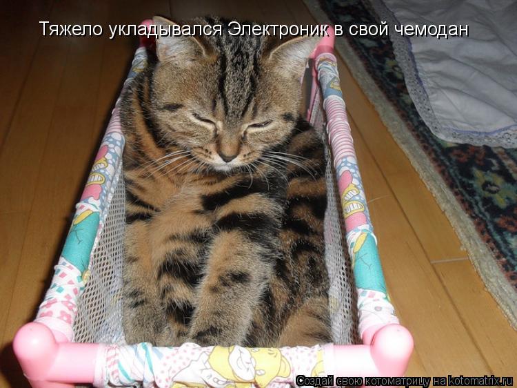Котоматрица: Тяжело укладывался Электроник в свой чемодан