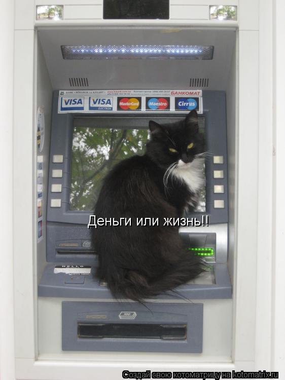 Котоматрица: Деньги или жизнь!!