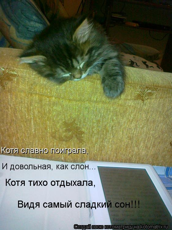 Котоматрица: Котя славно поиграла,  И довольная, как слон...  Котя тихо отдыхала,   Видя самый сладкий сон!!!