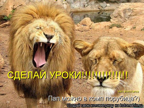 Котоматрица: Пап,можно в комп порубица?) СДЕЛАЙ УРОКИ!!!!!!!!!!!!!! СДЕЛАЙ УРОКИ!!!!!!!!!!!!!! чмо волосатое