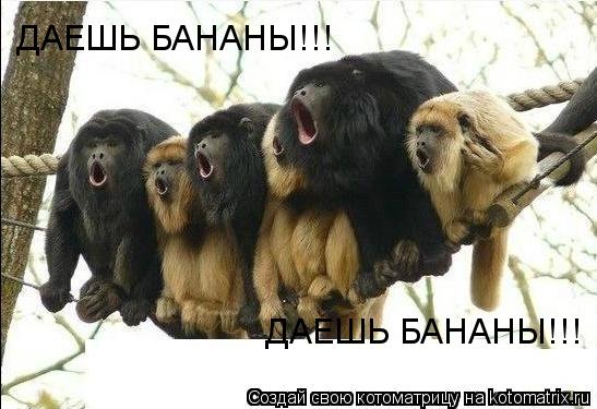 Котоматрица: ДАЕШЬ БАНАНЫ!!! ДАЕШЬ БАНАНЫ!!!