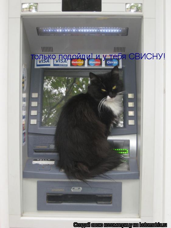 Котоматрица: только подойди! и у тебя СВИСНУ!