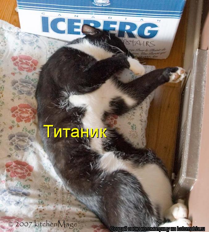 Котоматрица: Титаник
