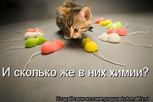 Котоматрица: И сколько же в них химии?
