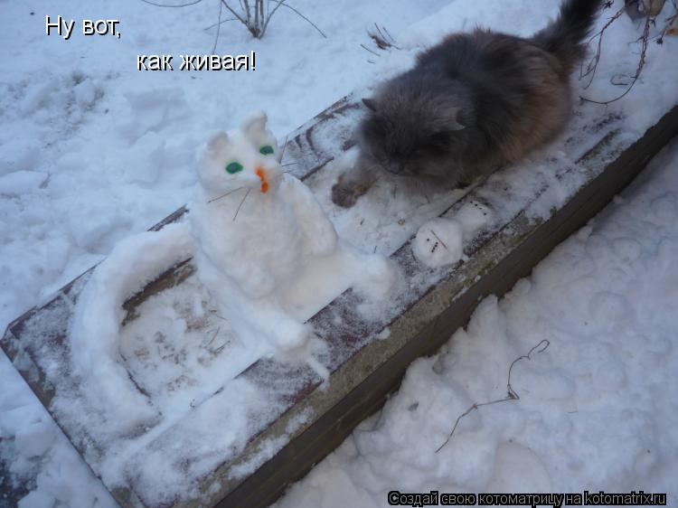 Котоматрица: Ну вот, как живая!