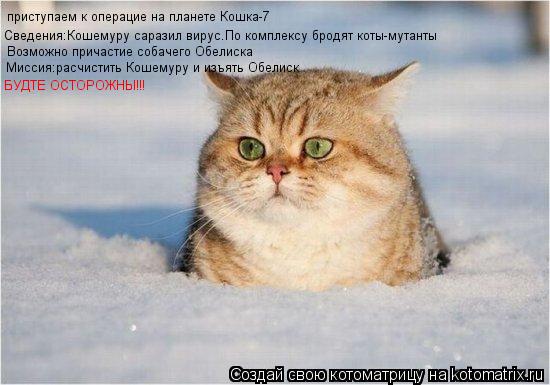 Котоматрица: Сведения:Кошемуру саразил вирус.По комплексу бродят коты-мутанты приступаем к операцие на планете Кошка-7 Возможно причастие собачего Обе