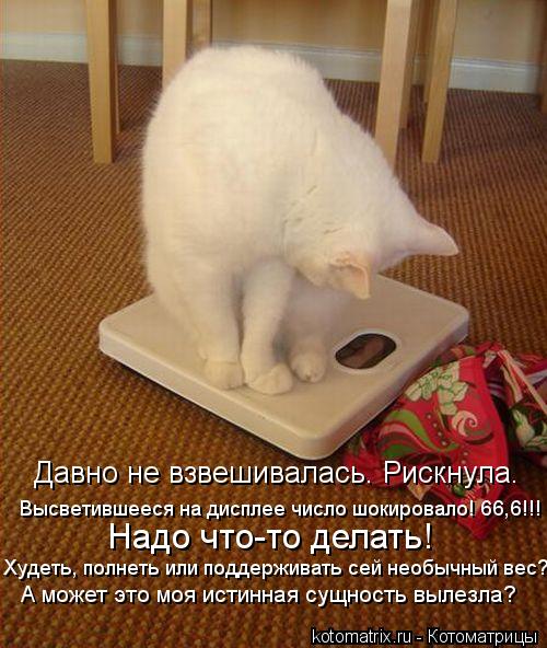 Котоматрица: Давно не взвешивалась. Рискнула.  Высветившееся на дисплее число шокировало! 66,6!!!  Надо что-то делать!  Худеть, полнеть или поддерживать сей 