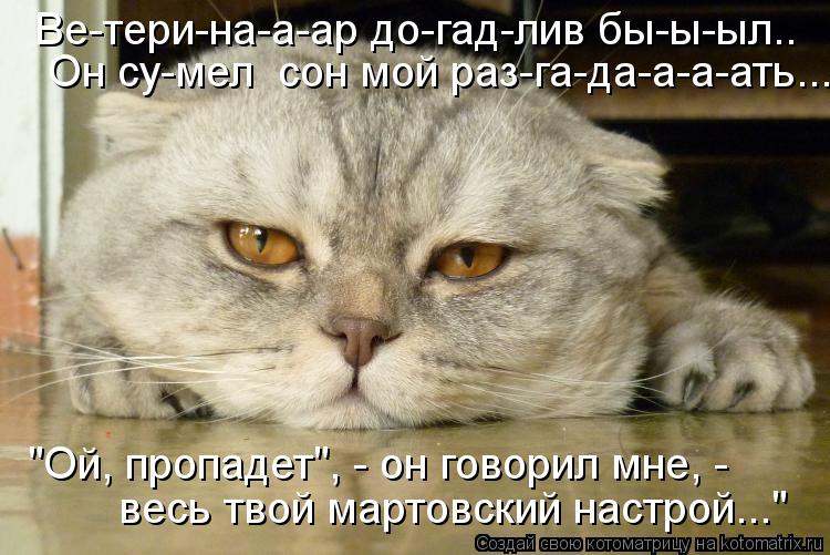 Котоматрица: Ве-тери-на-а-ар до-гад-лив бы-ы-ыл.. Он су-мел  сон мой раз-га-да-а-а-ать... "Ой, пропадет", - он говорил мне, -  весь твой мартовский настрой..."