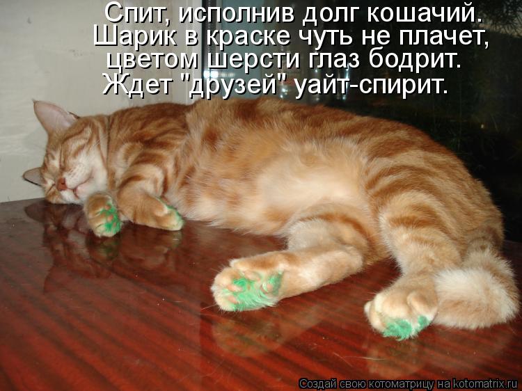 Котоматрица: Спит, исполнив долг кошачий. Шарик в краске чуть не плачет, цветом шерсти глаз бодрит. Ждет "друзей" уайт-спирит.