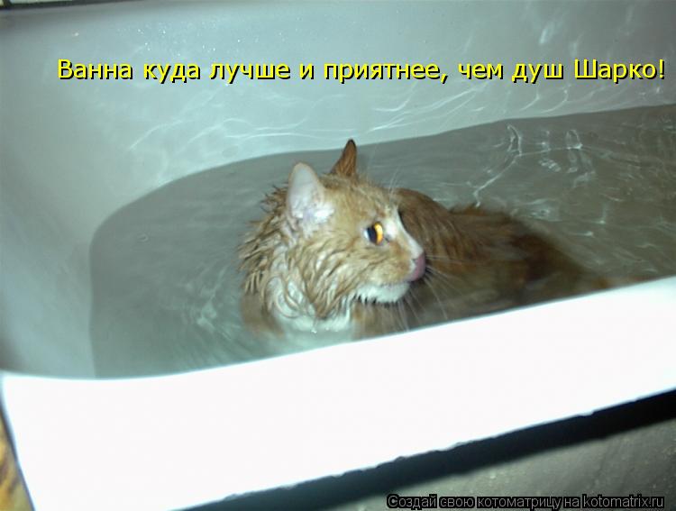 Котоматрица: Ванна куда лучше и приятнее, чем душ Шарко!