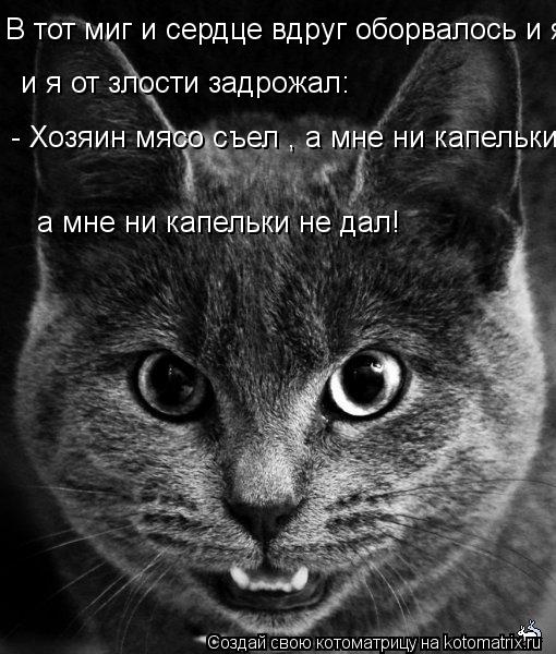 Котоматрица: В тот миг и сердце вдруг оборвалось и я от злости задрожал: - Хозяин мясо съел , а мне ни капельки не дал!  а мне ни капельки не дал!  а мне ни кап