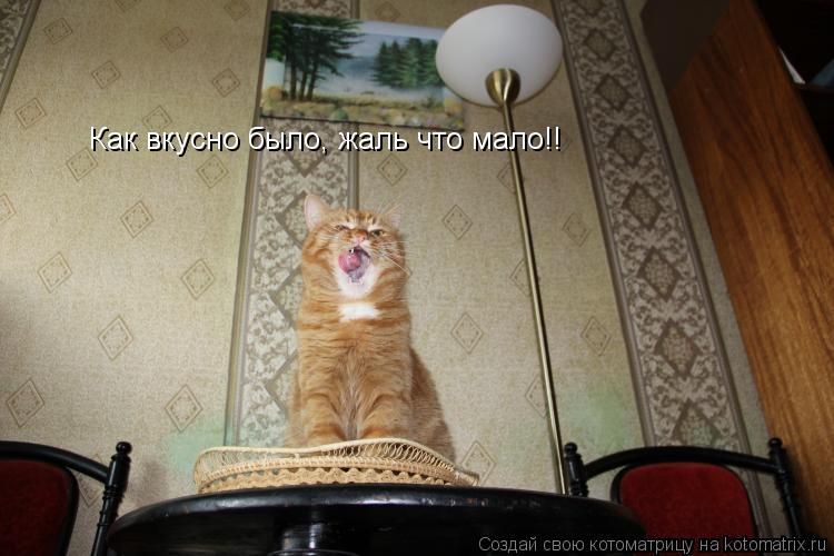Котоматрица: Как вкусно было, жаль что мало!!