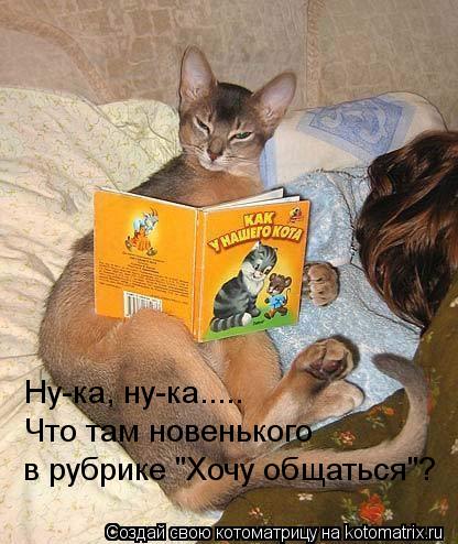 Котоматрица: Ну-ка, ну-ка..... Что там новенького в рубрике "Хочу общаться"?
