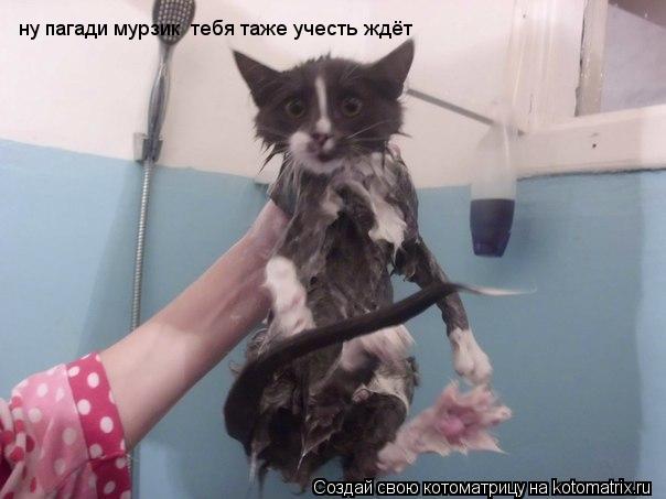 Котоматрица: ну пагади мурзик  тебя таже учесть ждёт