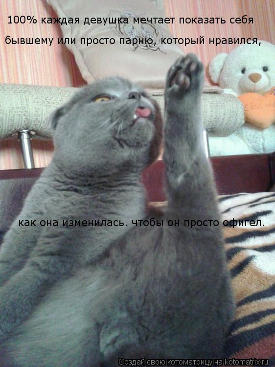Котоматрица: 100% каждая девушка мечтает показать себя   бывшему или просто парню, который нравился,    как она изменилась. чтобы он просто офигел.