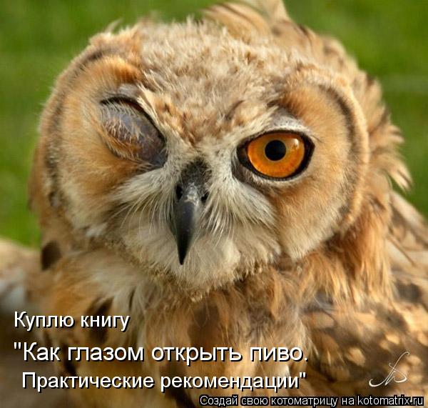 Котоматрица: Куплю книгу "Как глазом открыть пиво. Практические рекомендации"