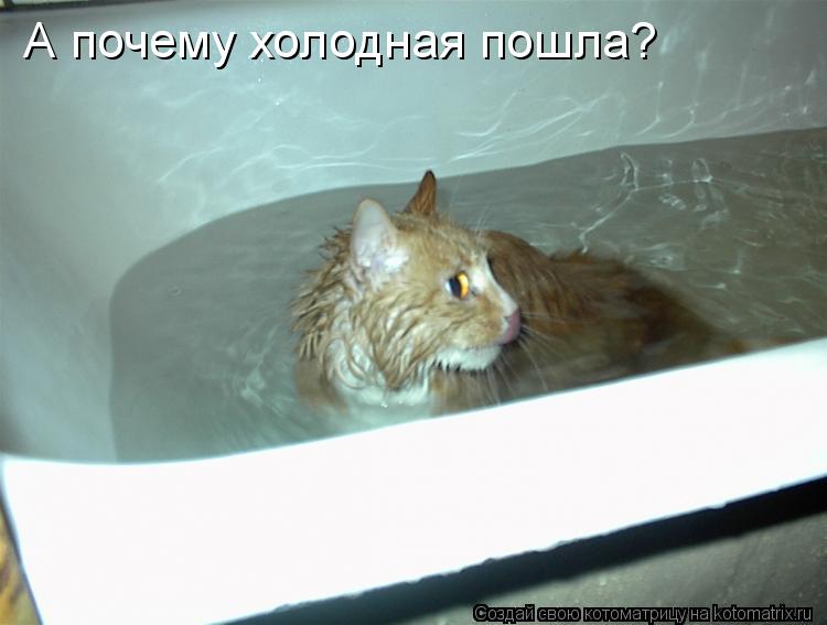 Котоматрица: А почему холодная пошла?