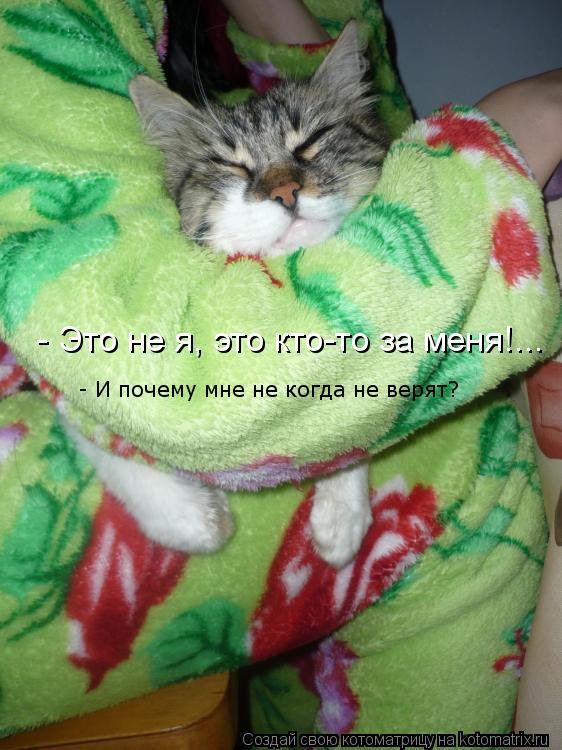 Котоматрица: - Это не я, это кто-то за меня!... - И почему мне не когда не верят?