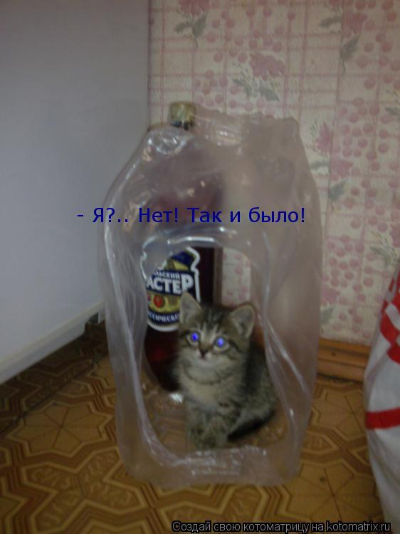 Котоматрица: - Я?.. Нет! Так и было!