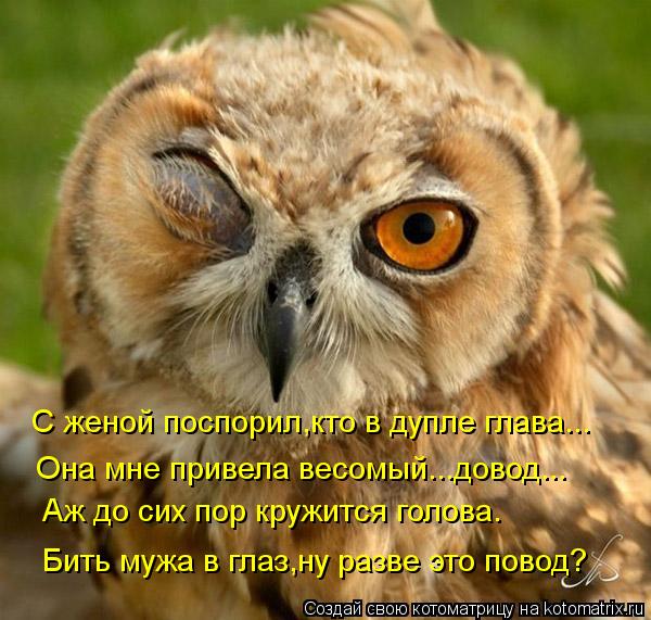 С женой поспорил,кто в дупле глава... Она мне привела весомый...довод... Аж до сих пор кружится голов... Котоматрица: С женой поспорил,кто в дупле глава... Она мне привела весомый...довод... Аж до сих пор кружится голова. Бить мужа в глаз,ну разве это повод?