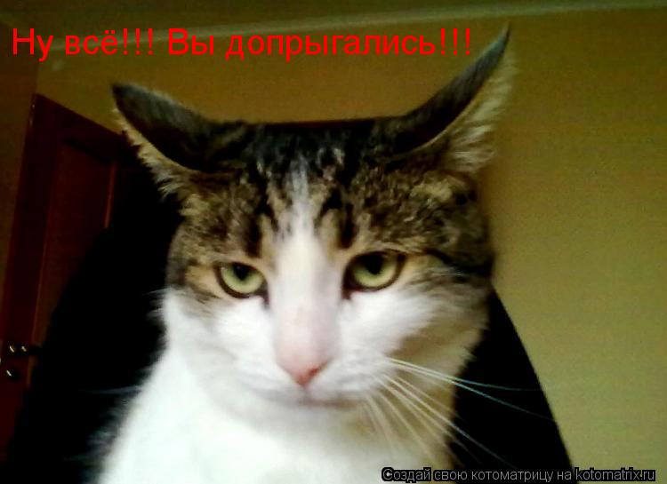 Котоматрица: Ну всё!!! Вы допрыгались!!!