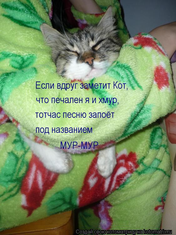 Котоматрица: Если вдруг заметит Кот, что печален я и хмур,  тотчас песню запоёт под названием МУР-МУР
