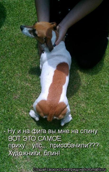 ВОТ ЭТО САМОЕ - Ну и на фига вы мне на спину приху... упс... присобачили??? Художники, блин!... Котоматрица: ВОТ ЭТО САМОЕ - Ну и на фига вы мне на спину приху... упс... присобачили??? Художники, блин!