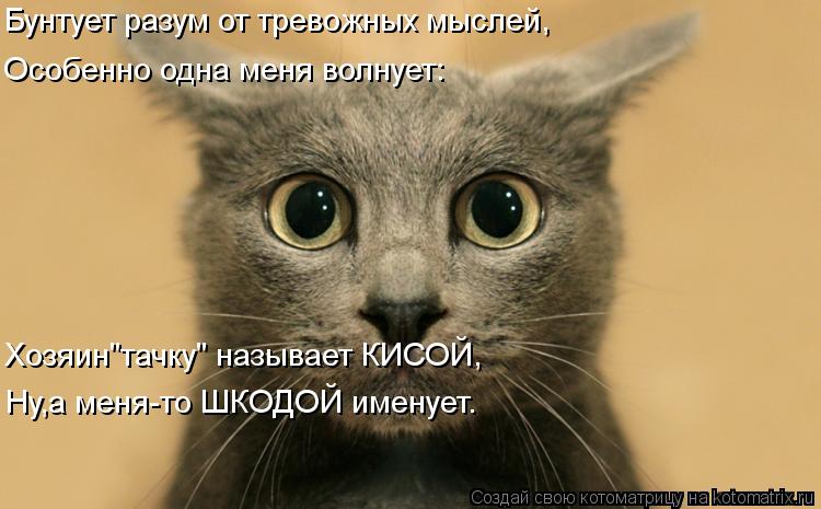 Бунтует разум от тревожных мыслей, Особенно одна меня волнует: Хозяин"тачку" называет КИСОЙ, Ну,а мен... Котоматрица: Бунтует разум от тревожных мыслей, Особенно одна меня волнует: Хозяин"тачку" называет КИСОЙ, Ну,а меня-то ШКОДОЙ именует.