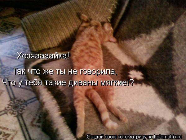 Котоматрица: Хозяаааайка! Так что же ты не говорила, Что у тебя такие диваны мягкие!?