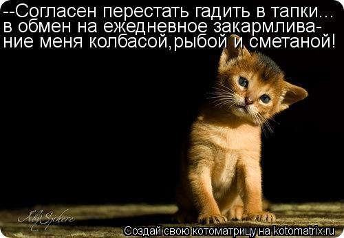 Котоматрица: --Согласен перестать гадить в тапки... в обмен на ежедневное закармлива- ние меня колбасой,рыбой и сметаной!